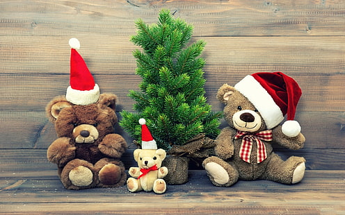 three brown bear plush toys, teddy bears, Christmas, fir, HD wallpaper HD wallpaper