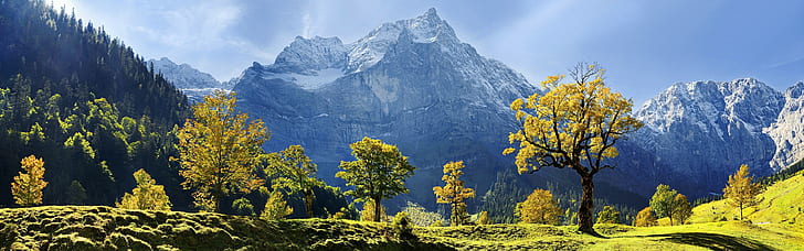 Klony, zaśnieżone góry, jesień, Karwendel, Austria, zielone drzewa liściaste, Klon, Drzewa, Śnieg, Pokryte, Góry, Jesień, Karwendel, Austria, Tapety HD