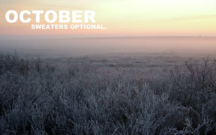 Oktober, Monat, HD-Hintergrundbild