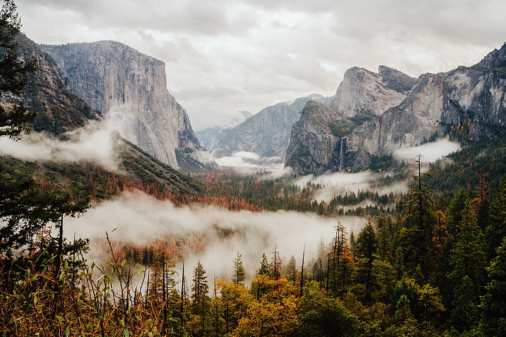 naturaleza, árboles, Valle de Yosemite, Parque Nacional de Yosemite, Fondo de pantalla HD