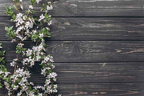 branches, fleurs, printemps, fond en bois, Fond d'écran HD HD wallpaper