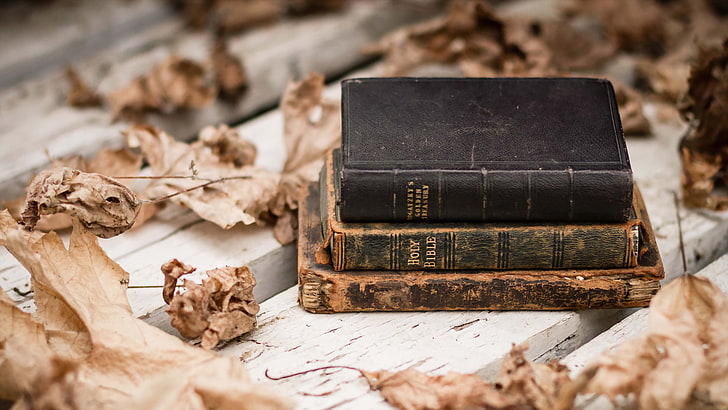three Holy Bibles, leaves, background, books, HD wallpaper
