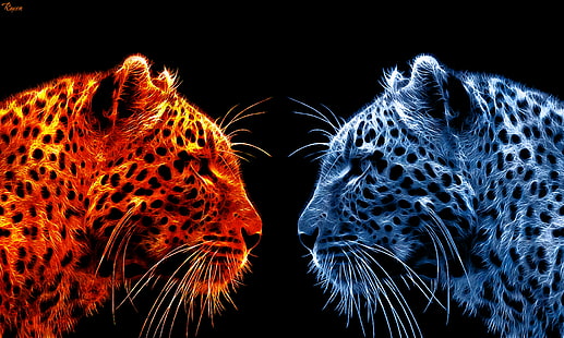 two orange and gray Tigers face to face poster, Hot and cold, orange, gray, Tigers, face to face, poster  art, artwork, photoshop, manipulation, digital art, graphic design, cat, leopard, hot  cold, gear, me, Remember That, Moment, Level 1, wildlife, animal, spotted, nature, undomesticated Cat, animals In The Wild, mammal, danger, africa, carnivore, large, feline, big Cat, HD wallpaper HD wallpaper