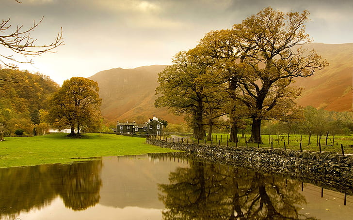 田舎の秋、木、湖、色、自然、風景、 HDデスクトップの壁紙