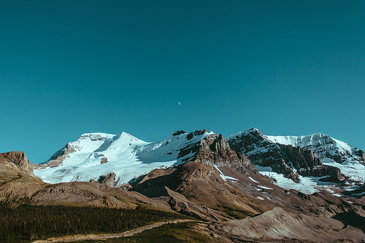 gunung, alam, gletser athabasca, Wallpaper HD