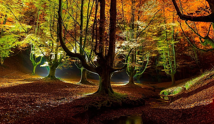Trzy brązowe drewniane dekory na stół, krajobraz, przyroda, las, jesień, potoki, liście, drzewa, światła, Tapety HD