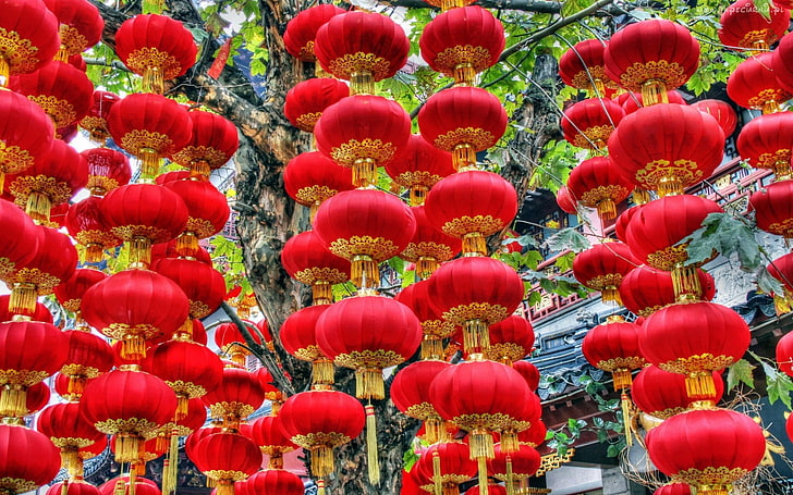 red chinese lanterns, christmas lanterns, decoration, new year, HD wallpaper
