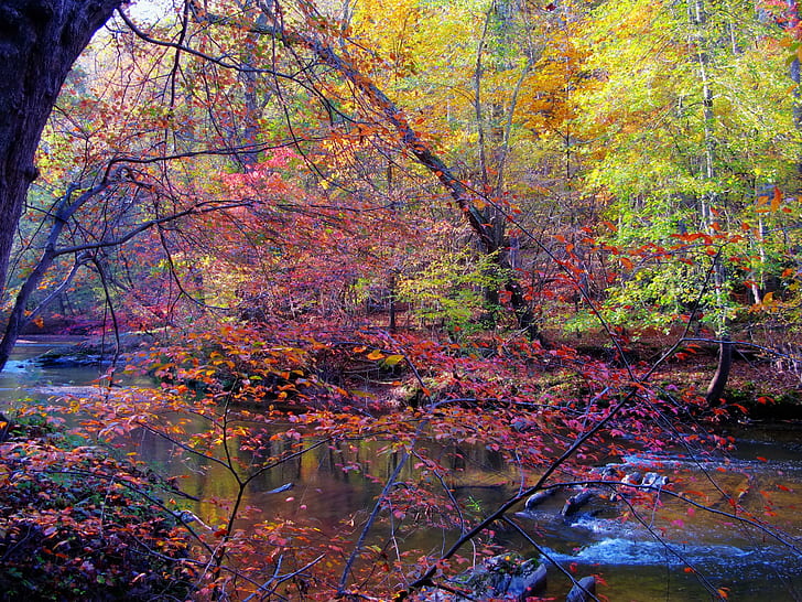 Сезоны Осень Леса Реки Деревья Природа, природа, времена года, осень, леса, реки, деревья, HD обои