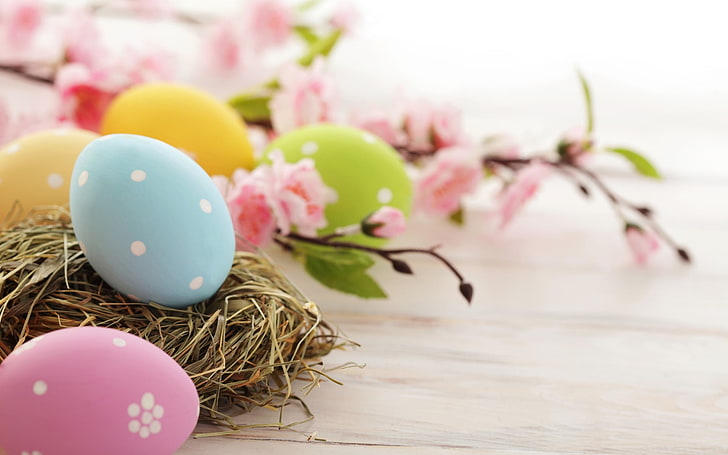Пасхальные яйца, яйца разного цвета, праздники / праздники, пасха, фестиваль, праздник, HD обои