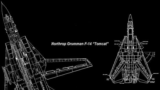 F-14 Tomcat, Grumman F-14 Tomcat, Düsenjäger, Marine, United States Navy, HD-Hintergrundbild HD wallpaper