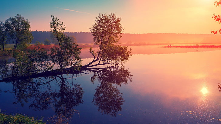 sunrise, lake, morning, reflection, tree, photography, sky, water, calm, sunlight, HD wallpaper