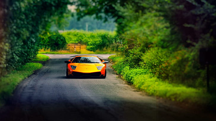Lamborghini Murcielago, оранжев, летен път, колата, lamborghini murcielago, оранжев, летен път, колата, HD тапет