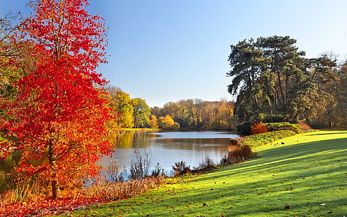 秋の公園、湖、木、葉、自然の風景、秋、公園、湖、木、葉、自然、風景、 HDデスクトップの壁紙 HD wallpaper
