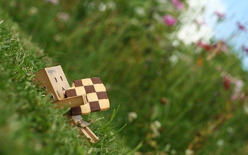 Danbo картонная коробка робот, Данборд, печенье, трава, ложь, HD обои HD wallpaper