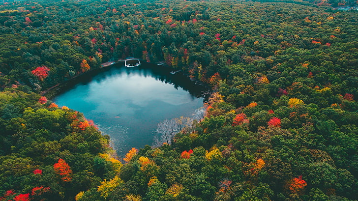 зелени и червени листни дървета, въздушен изглед на езерото в средата на гората, природа, пейзаж, вода, езерото Мичиган, гора, дървета, падане, HD тапет
