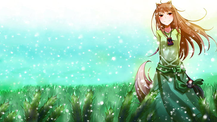 Anime, Spice and Wolf, Holo (Spice & Wolf), HD wallpaper | Wallpaperbetter