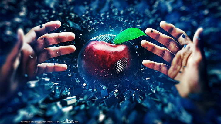 hand digital art apples adam spizak, HD wallpaper