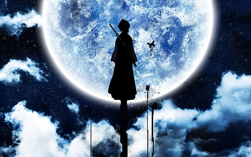 Rukia-Silhouette, Bleichmittel, Kuchiki Rukia, HD-Hintergrundbild HD wallpaper