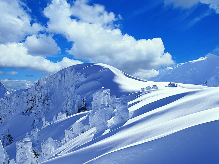 snow mountain and tree, slope, descent, mountain, snow, winter, snowdrifts, HD wallpaper