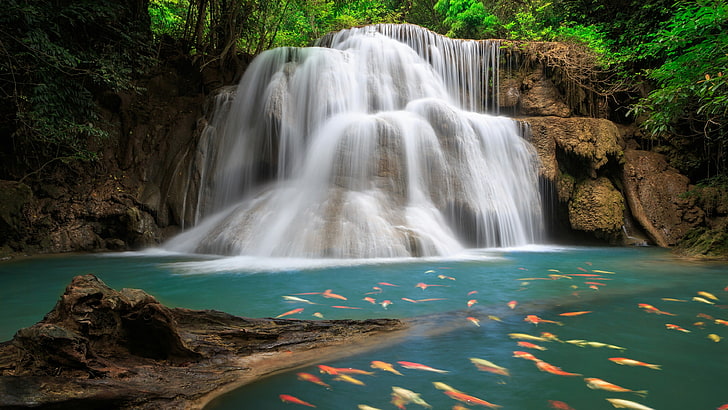 cascade, eau, nature, plan d'eau, cascades de huay mae khamin, thaïlande, cascade de huay maekamin, kanchanaburi, végétation, ruisseau, chute, asie, poisson rouge, poissons rouges, Fond d'écran HD