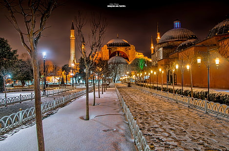 Hagia Sophia, Sultanahmet, Istanbul, alberi marroni, hd, meglio, Hagia Sophia, Sultanahmet, Istanbul, Sfondo HD HD wallpaper