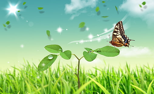 Dreamscape Spring 6, brązowy motyl, Pory roku, Wiosna, Dreamscape, Tapety HD HD wallpaper