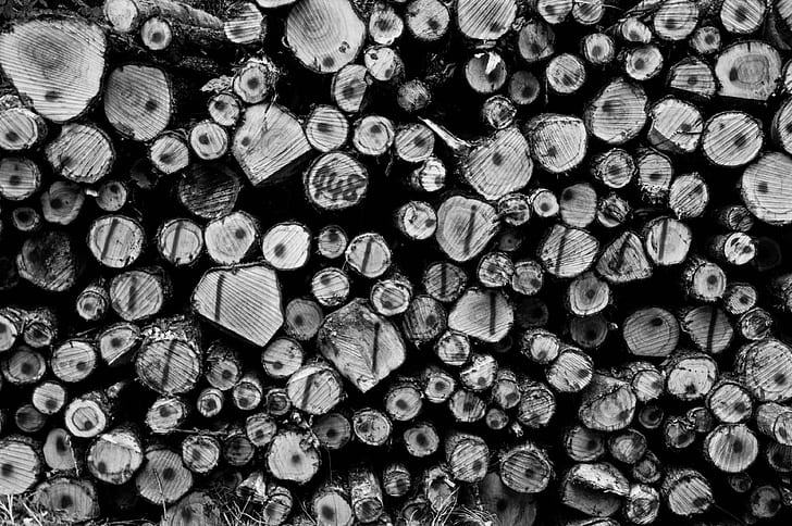 bark, batch, black and white, chopped, chopped wood, industry, like, log, logs, pile, resource, round, stack, stacked, stacked wood, stock, storage, texture, timber, tree trunks, wood, wood stack, HD wallpaper
