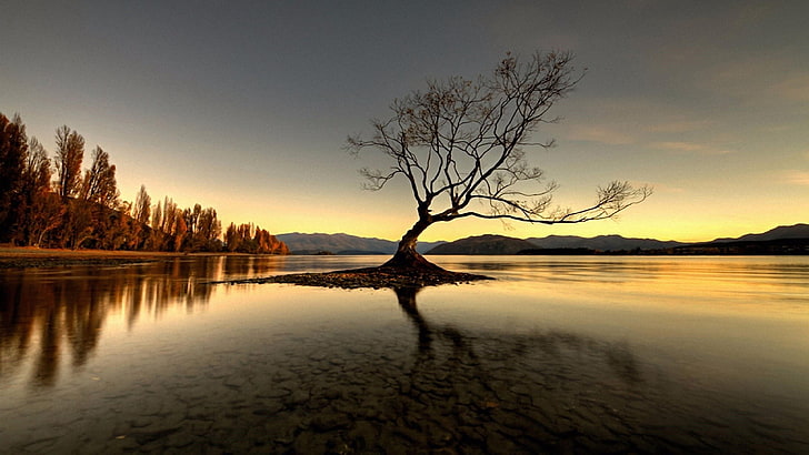 ワナカ、夕方、穏やかな、湖、銀行、地平線、日没、空、自然、水、南アルプス、湖、孤独な木、孤独な木、孤独な木、ワナカ湖、ニュージーランド、失われた、一人で、木、反射、 HDデスクトップの壁紙
