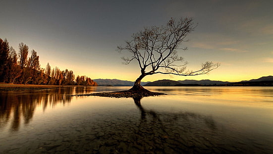 wanaka, kväll, lugn, loch, bank, horisont, solnedgång, himmel, natur, vatten, södra Alperna, sjö, ensamt träd, ensamt träd, ensamt träd, Lake Wanaka, Nya Zeeland, förlorat, ensamt, träd, reflektion, HD tapet HD wallpaper
