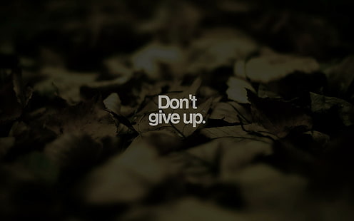 Dont Give Up, words, quotes, encouragement, sayings, 3d and abstract, HD wallpaper HD wallpaper