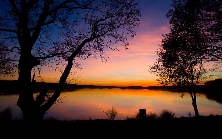 panorama, tramonto, tramonto, lago, alberi, cielo viola, Sfondo HD