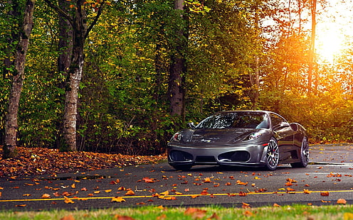 coupé deportivo gris, Ferrari, Ferrari F430, coche, hojas, otoño, carretera, Ferrari F430 Scuderia, vehículo, Fondo de pantalla HD HD wallpaper