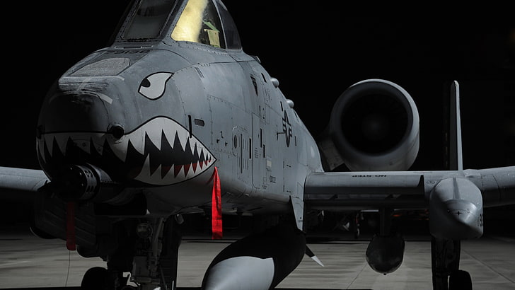 gray shark plane, jet fighter, military, aircraft, Fairchild Republic A-10 Thunderbolt II, A-10 Thunderbolt, military aircraft, vehicle, HD wallpaper