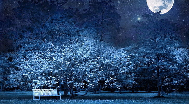 Luz de luna, árboles bajo el fondo de pantalla de luna llena, Aero, Creativo, ciudad, fantasía, Fondo de pantalla HD