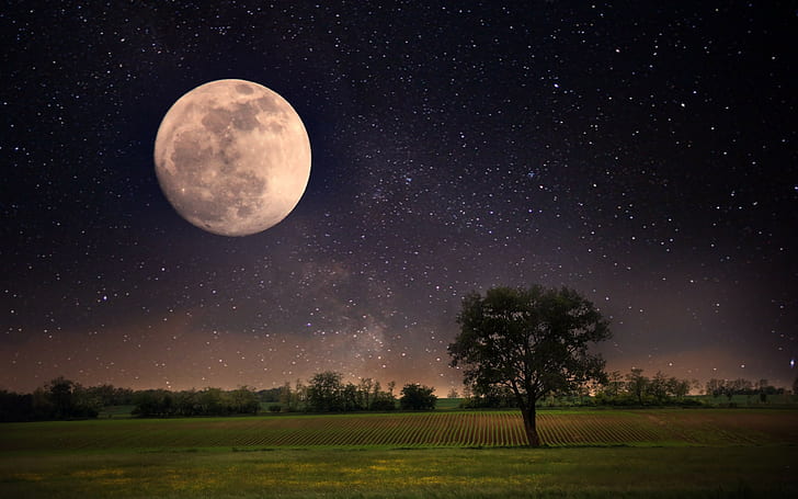 Escena nocturna de luna, luna, noche, paisaje, estrellas, luna llena, cielo, bella escena, naturaleza, árbol solitario, Fondo de pantalla HD