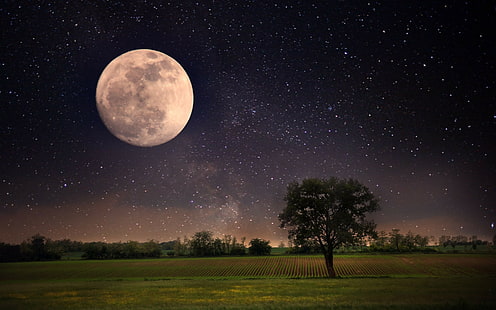 Moon night scene, moon, Night, landscape, stars, full moon, sky, beautiful scene, Nature, lonely tree, HD wallpaper HD wallpaper