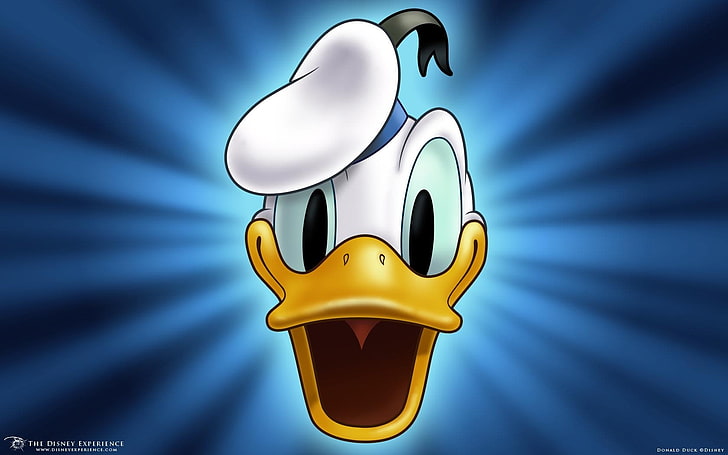 Donald duck HD wallpapers free download | Wallpaperbetter