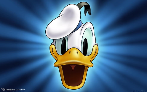 Donald Duck 1680x1050 Djur Ankor HD Art, Donald Duck, HD tapet HD wallpaper