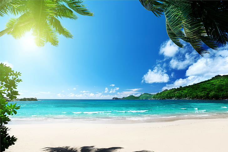 Plage, océan, palmiers, paradis, mer, été, soleil, tropical, Fond d'écran HD