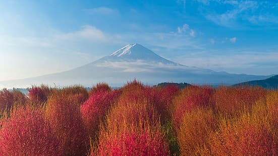 природа, пейзаж, растения, облака, небо, горы, восход, кусты, Яманаси, гора Фудзи, Япония, HD обои HD wallpaper