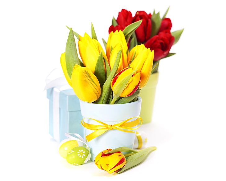 yellow tulips, photo, Flowers, Tulips, Easter, Eggs, Vase, Bouquet, Bow, Gifts, HD wallpaper