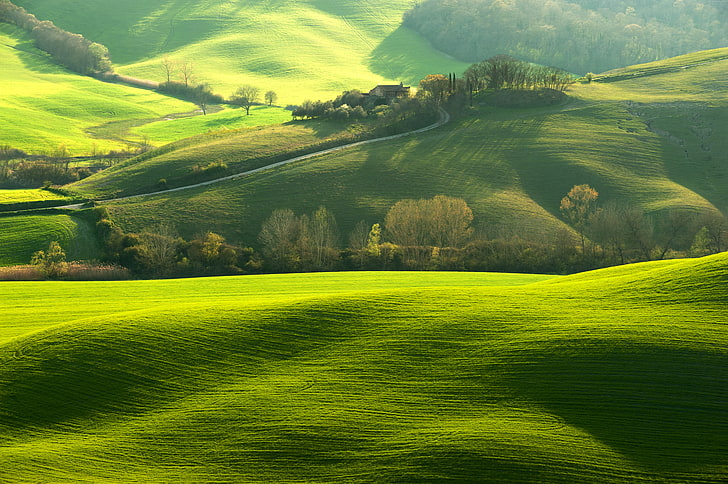Europa, kullar, fält, Italien, Toscana, grön, 8k, HD tapet