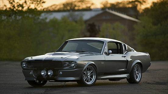 Ford Mustang GT500 Eleanor cinza cupê, gt 500, Ford, eleanor, ford shelby, HD papel de parede HD wallpaper