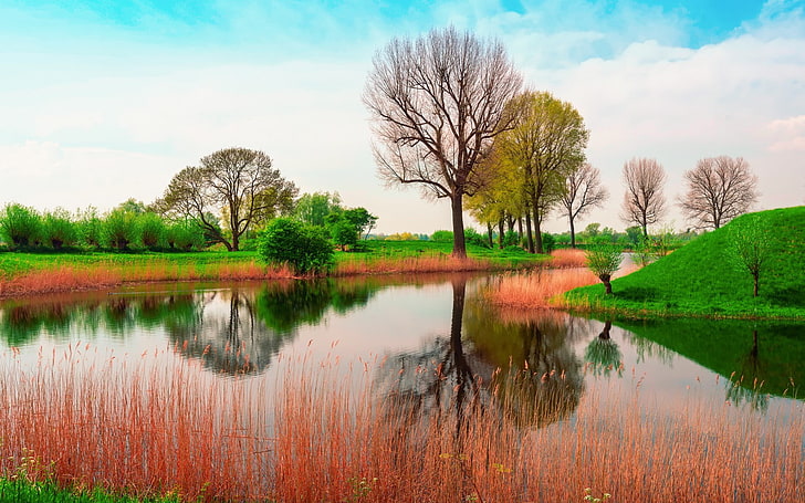 호수, 자연, 봄, 물, 반사, 나무, HD 배경 화면