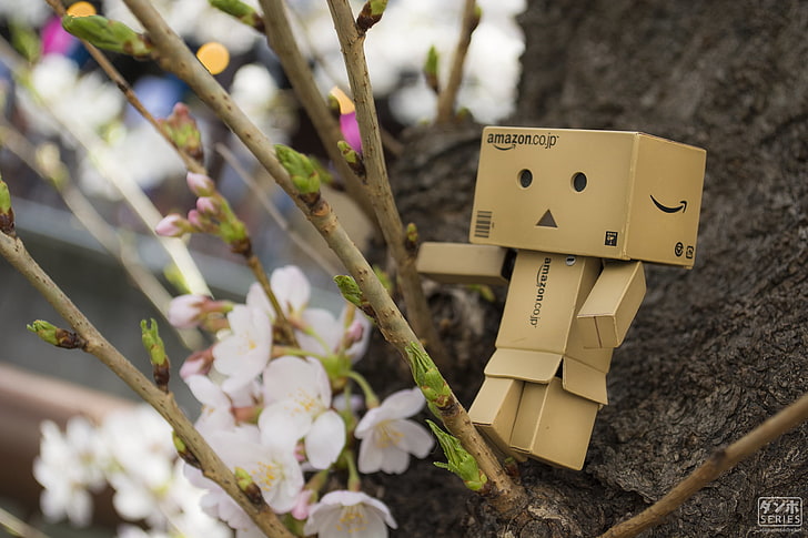 Dunboard Spielzeug, Danbo, Amazon, Kirschblüte, Frühling, Japan, Japanisch, Tokio, Osaka, HD-Hintergrundbild