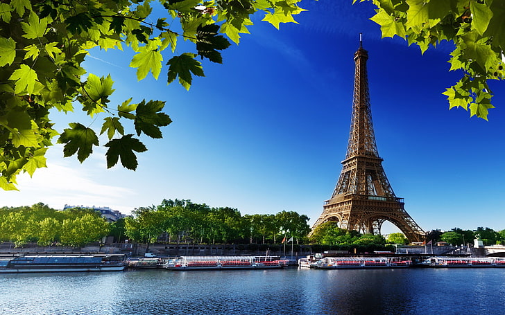 Torre Eiffel, paisagem urbana, França, Paris, rio, folhas, Torre Eiffel, HD papel de parede