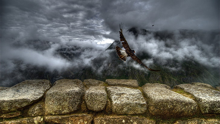 brown and white eagle illustration, Peru, animals, clouds, mountains, wall, birds, South America, nature, landscape, stones, HD wallpaper