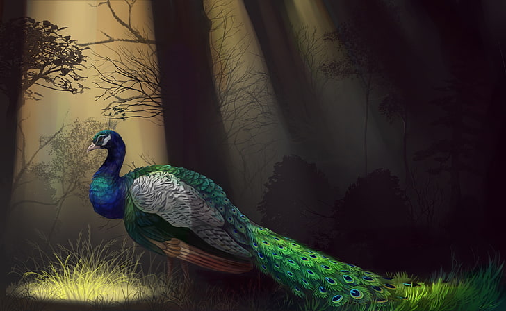 fondo de pantalla de pavo real azul, blanco y verde, árboles, pájaro, plumas, arte, perfil, pavo real, Fondo de pantalla HD