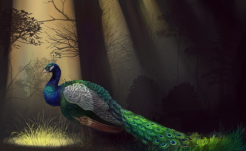 fondo de pantalla de pavo real azul, blanco y verde, árboles, pájaro, plumas, arte, perfil, pavo real, Fondo de pantalla HD HD wallpaper