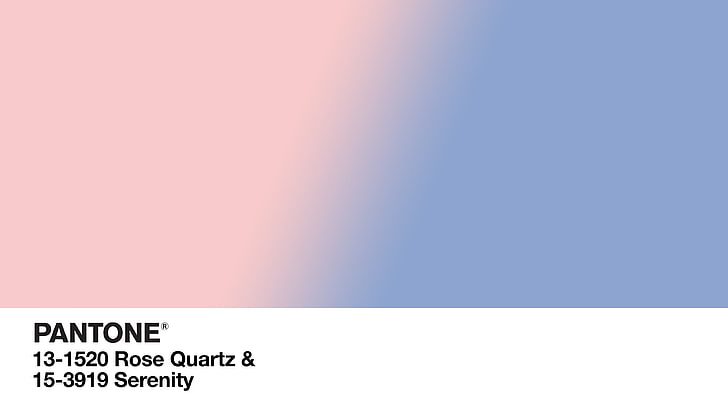 kode warna, pink, ungu, minimalis, sederhana, Wallpaper HD